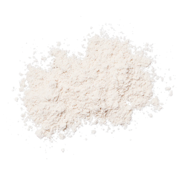 Poudre Sunforgettable® Total Protection® Brush-On Shield Sheer Matte SPF 50